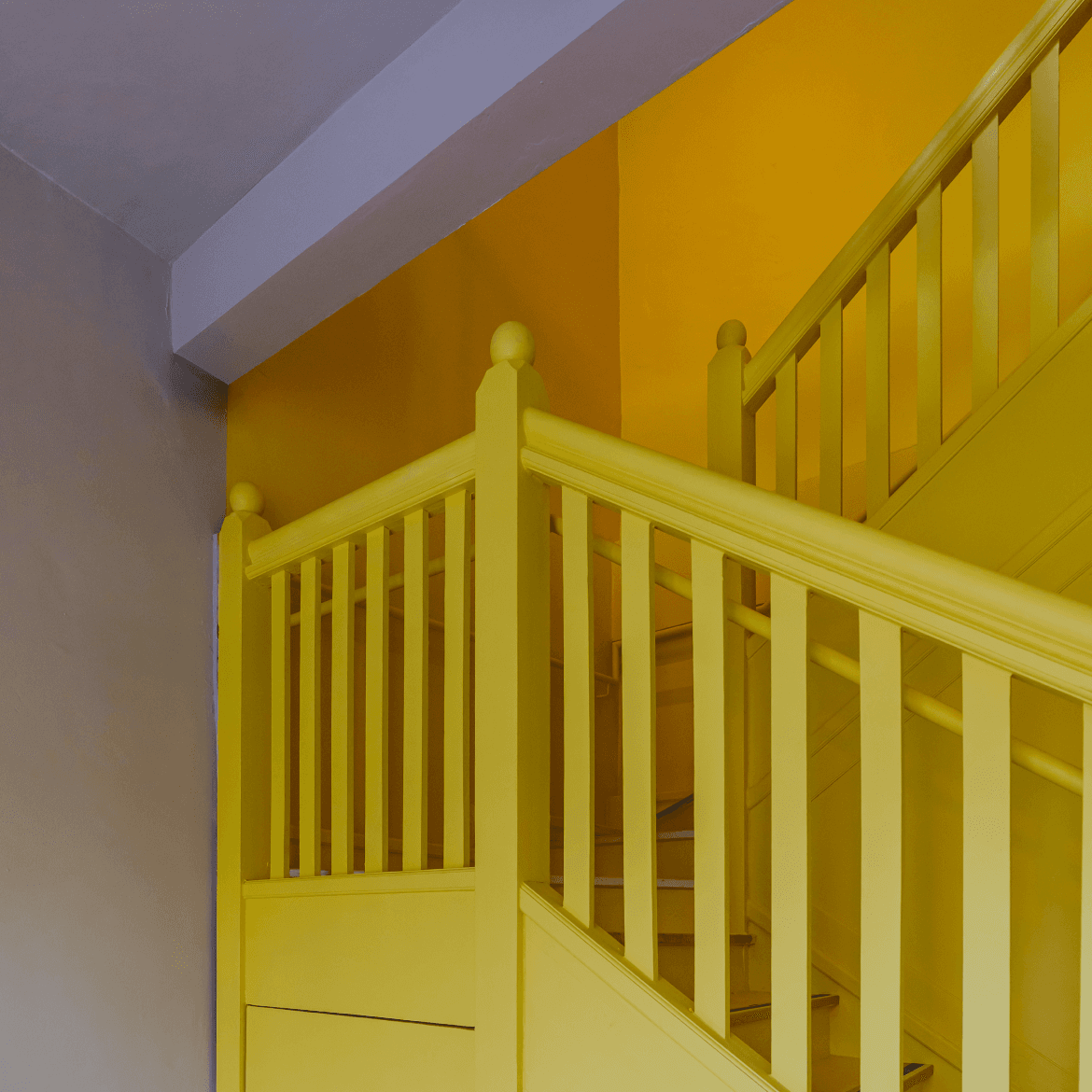 The House gallery image 4